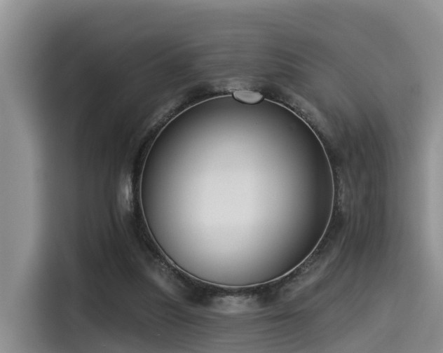 X0000115550251200911061538