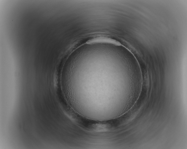 X0000115550255200911061539