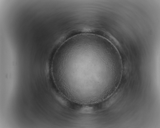 X0000115550257200911061539