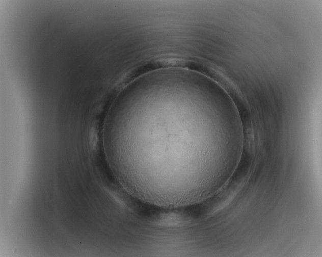 X0000115550259200911061539