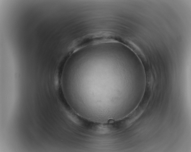 X0000115550261200911061539