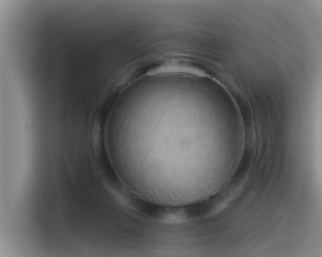 X0000115550263200911061539
