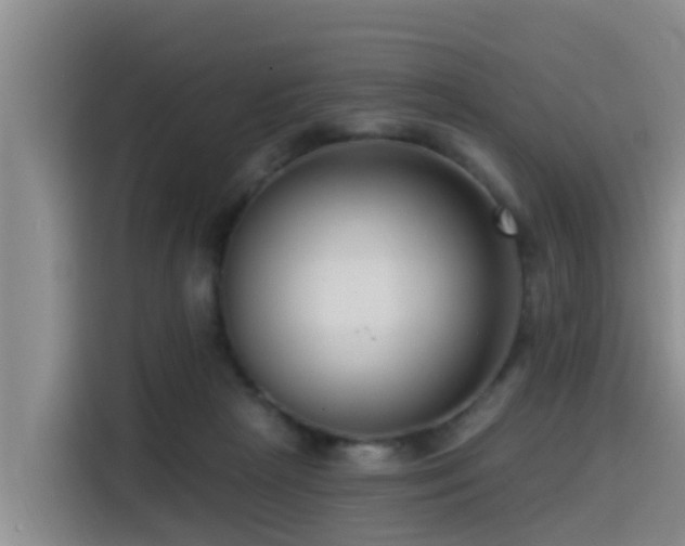 X0000115550265200911061539