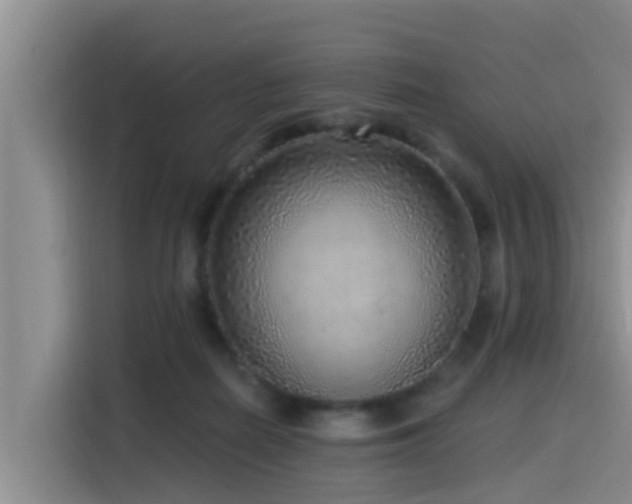 X0000115550266200911061539