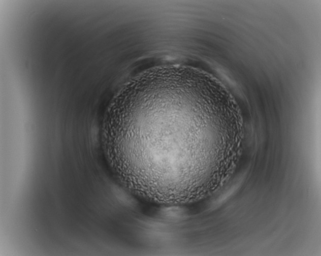 X0000115550269200911061539