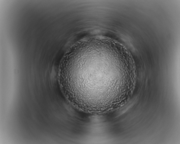 X0000115550273200911061539