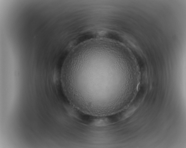 X0000115550274200911061539