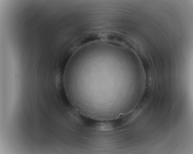 X0000115550275200911061539