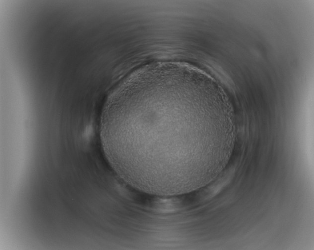 X0000115550277200911061539
