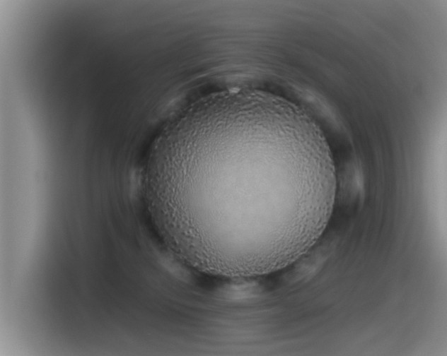 X0000115550278200911061539