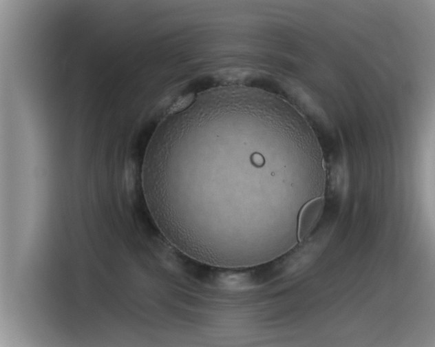 X0000115550283200911061539