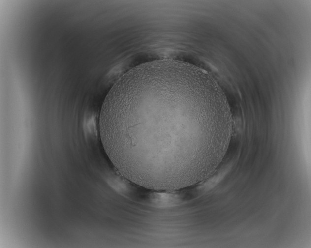 X0000115550286200911061539