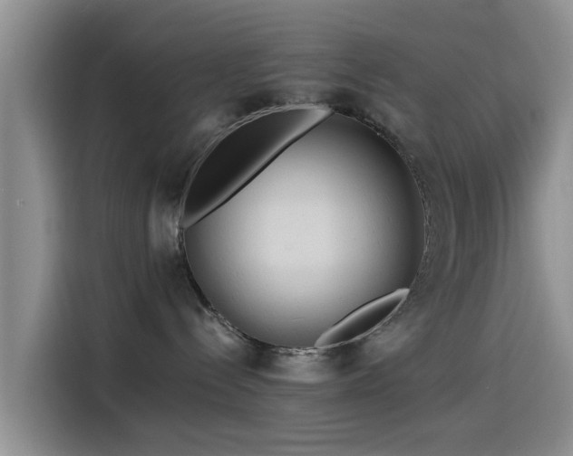 X0000115550288200911061539