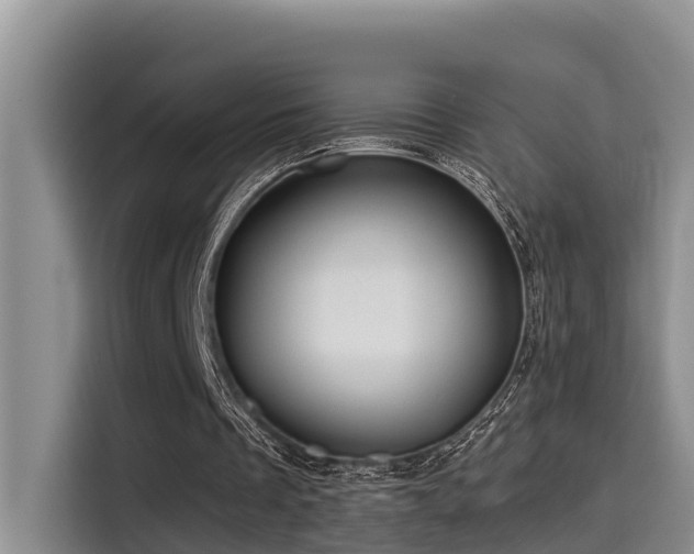 X0000115550289200911061538