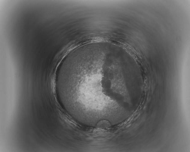 X0000115550290200911061538