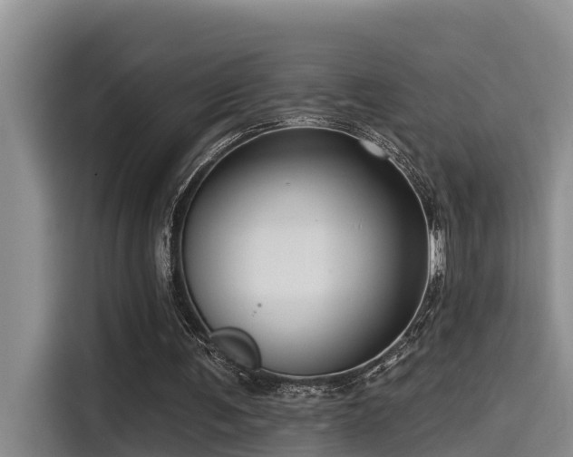 X0000115550291200911061538