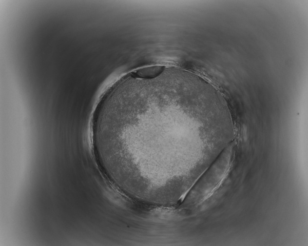 X0000115550294200911061538