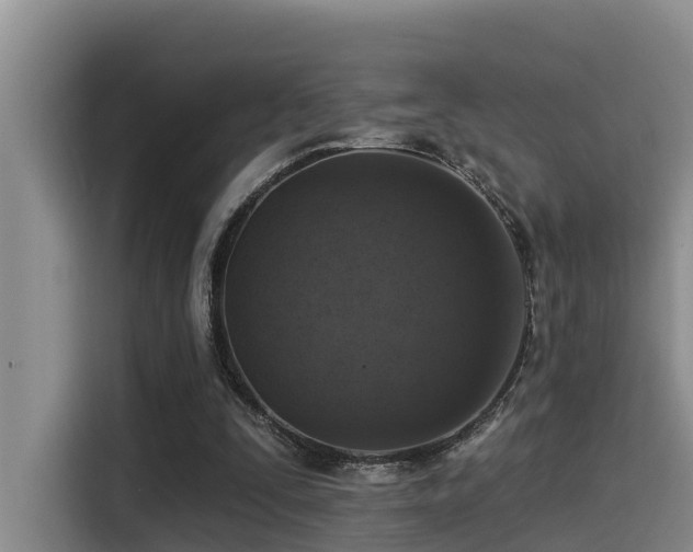 X0000115550295200911061538