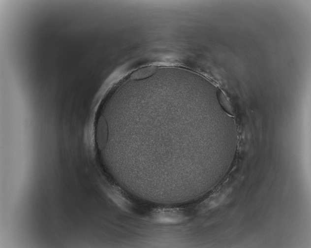 X0000115550296200911061538