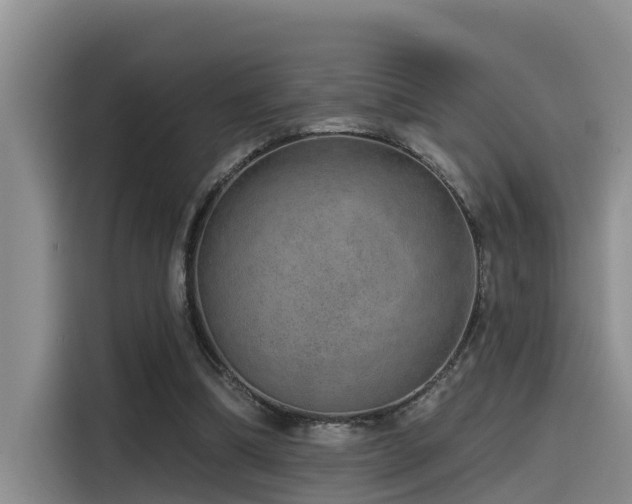 X0000115550298200911061538