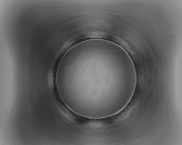 X0000115550299200911061538