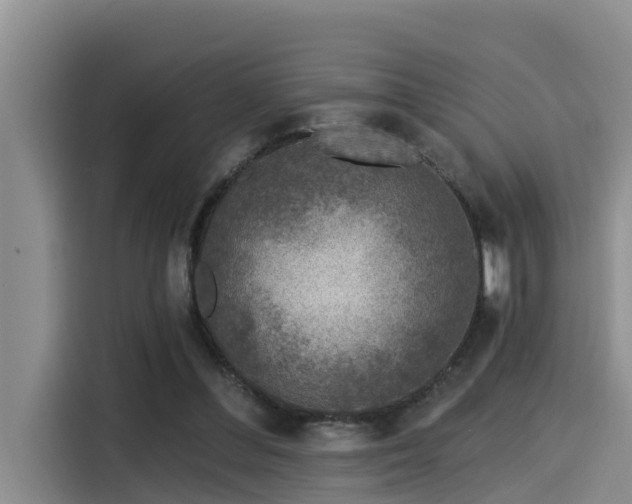 X0000115550300200911061538