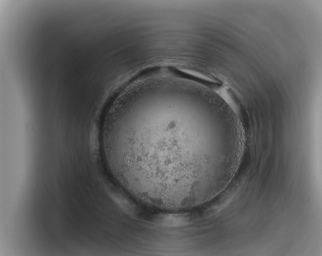 X0000115550303200911061538