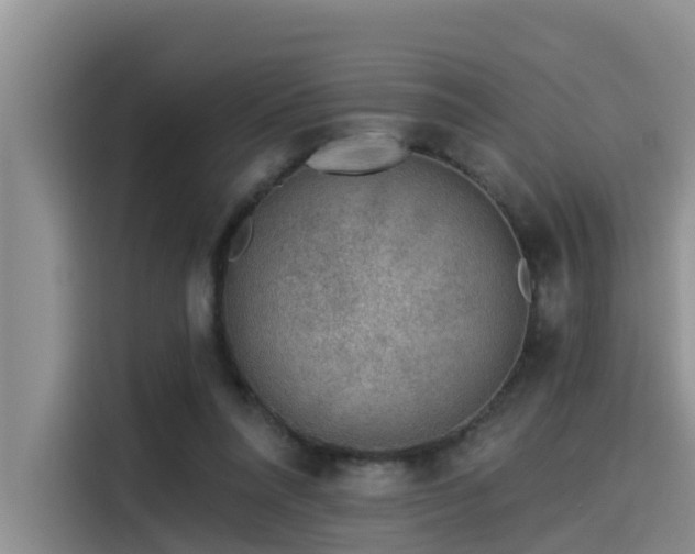X0000115550304200911061538