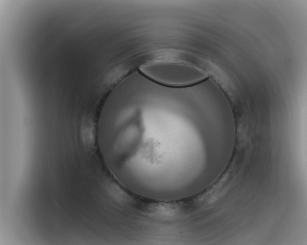 X0000115550305200911061538
