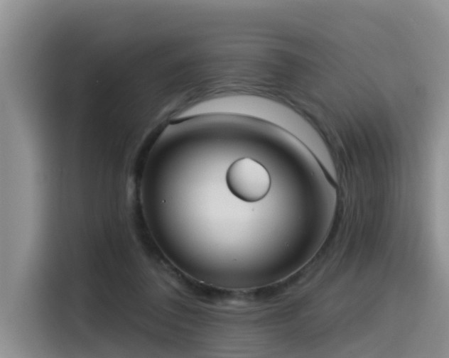 X0000115550308200911061538
