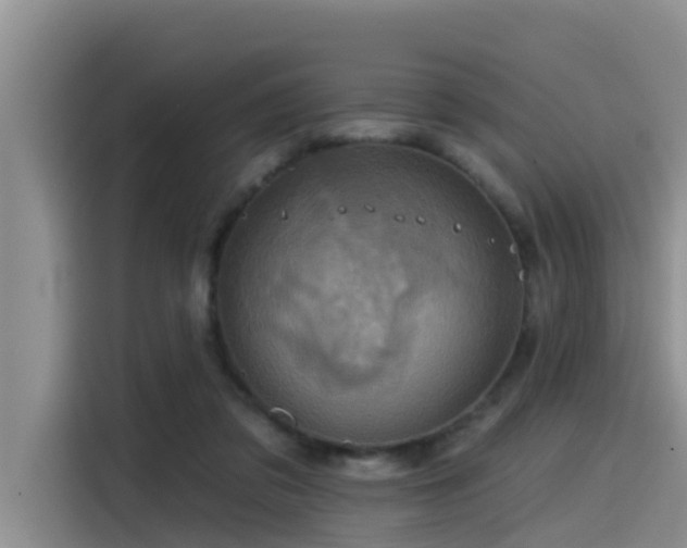 X0000115550309200911061538