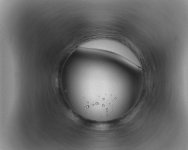 X0000115550313200911061538