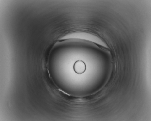 X0000115550316200911061538