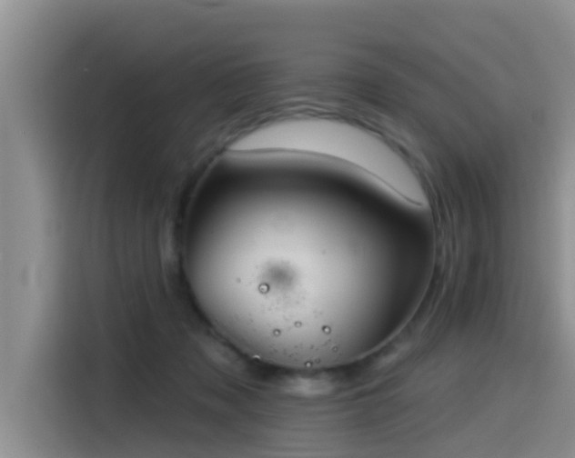 X0000115550317200911061538