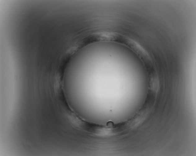 X0000115550318200911061538