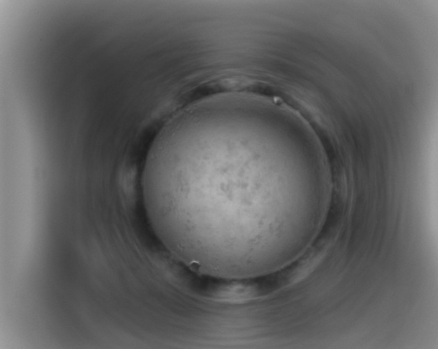 X0000115550319200911061538