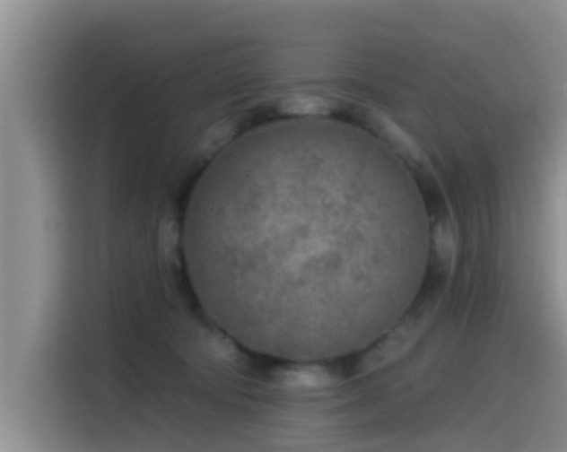 X0000115550322200911061538