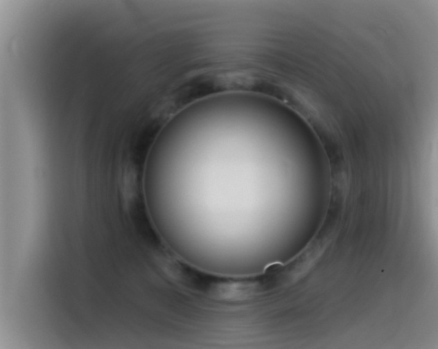 X0000115550323200911061538