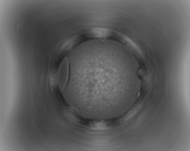 X0000115550325200911061538