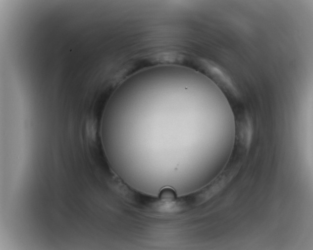 X0000115550326200911061538
