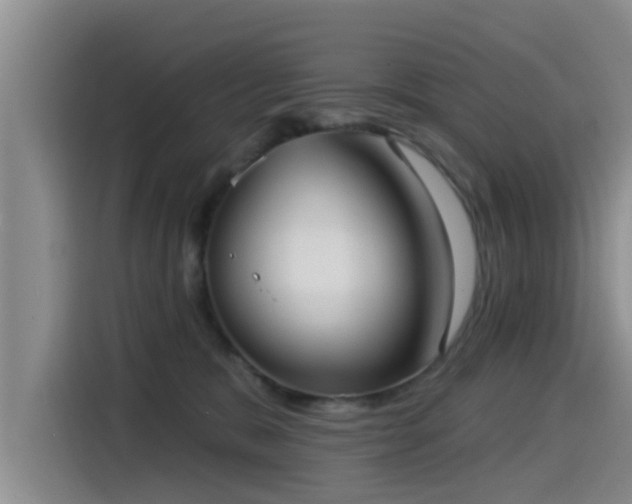X0000115550327200911061538