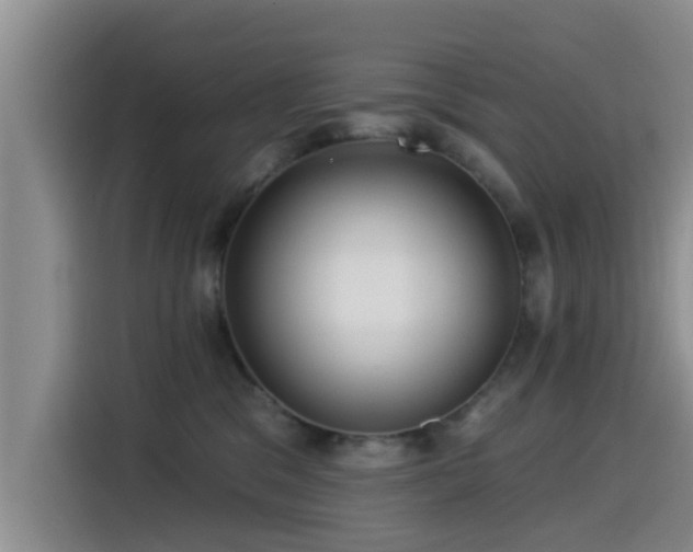 X0000115550329200911061538