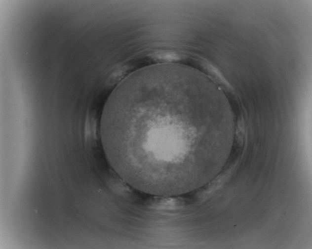 X0000115550330200911061538