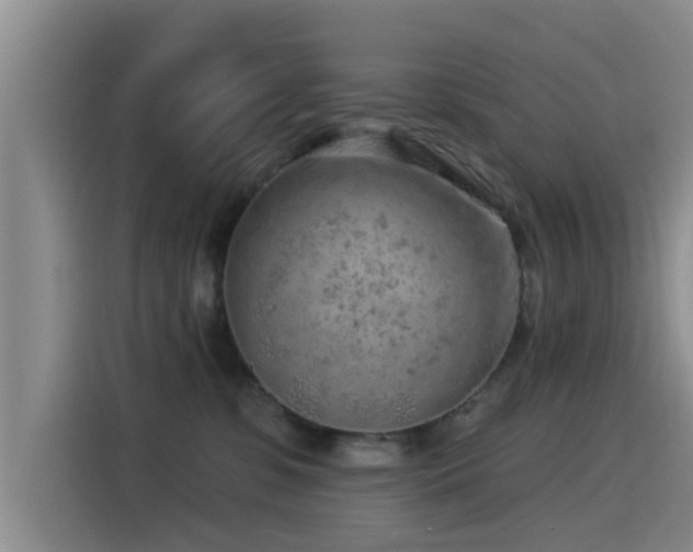 X0000115550331200911061538