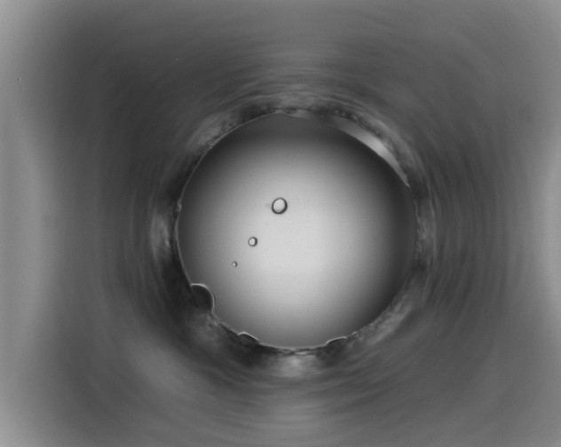 X0000115550333200911061538