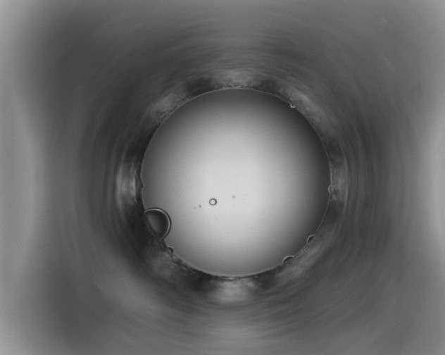 X0000115550334200911061538