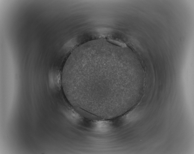 X0000115550336200911061538
