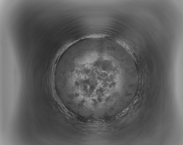 X0000115550337200911061537