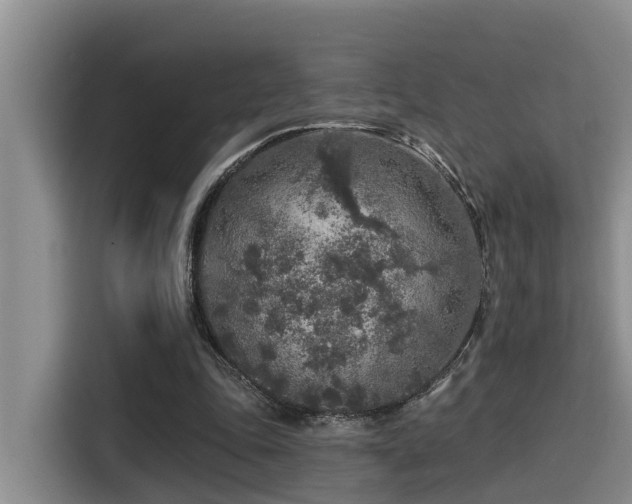 X0000115550343200911061537