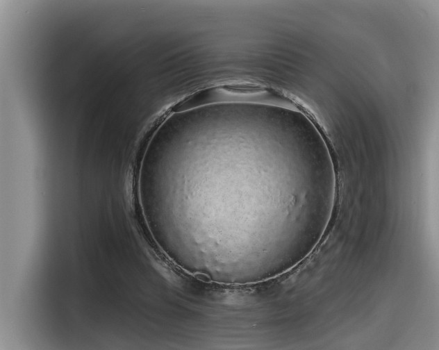 X0000115550345200911061537